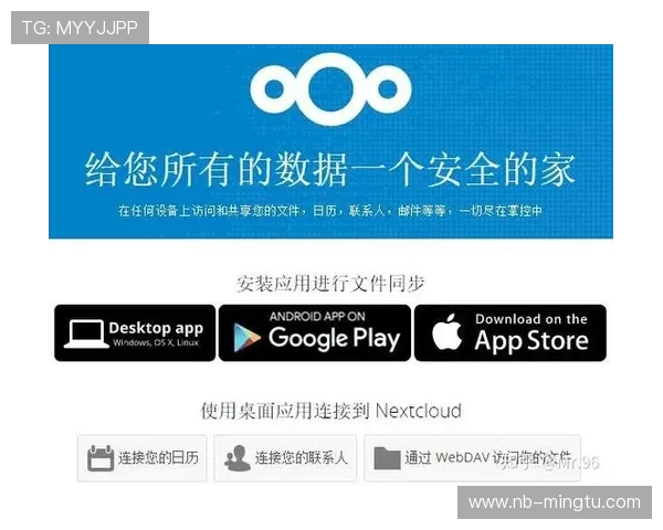 暂停时间限制：规则解析与实际应用指南